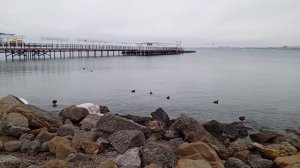 Анапа 24.01.2026