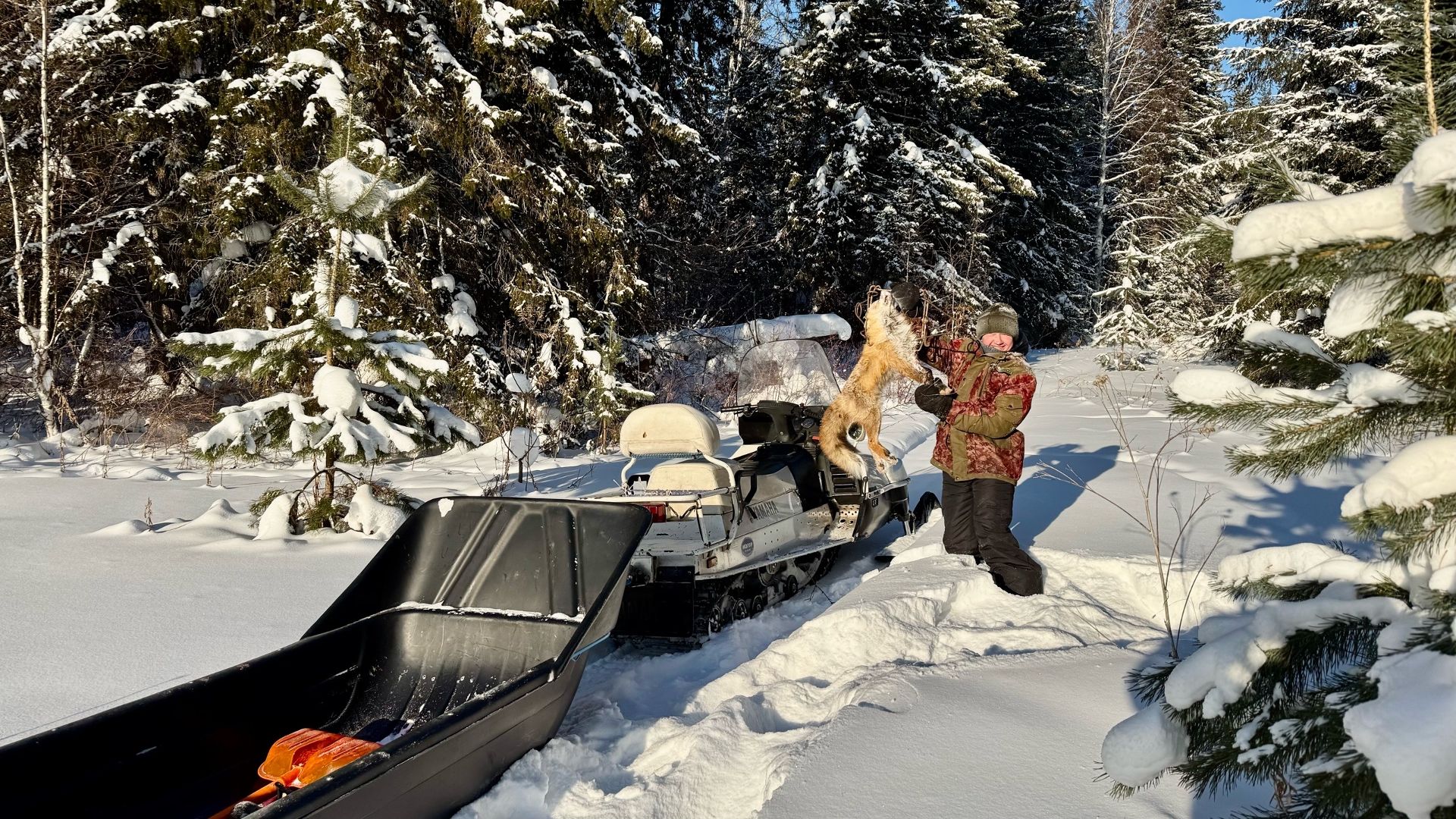 В деревне жмут морозы. Домашние дела в деревне. Проверяем капканы на лису и тычки на налима. смотреть онлайн