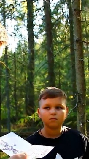 ЗАПИСКИ В ЛЕСУ