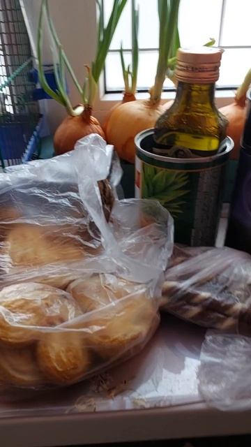 Арчик дерётся! (24.01.2026г.)