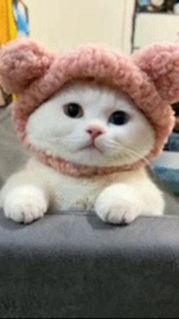 VID-20240918-WA0007.mp4 смотреть онлайн