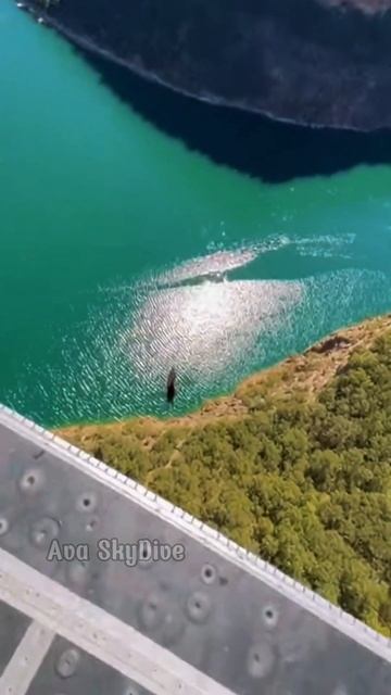 Выпрыгнула и искупалась смотреть онлайн