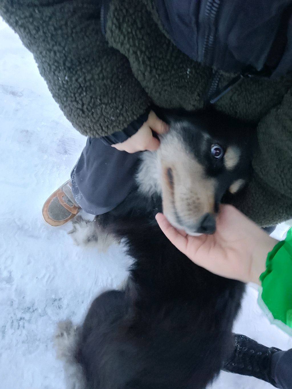 Удар по проправительственным