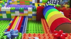 Маленький хомячок оказался на улице, выглядя жалко. Мама Минни, с добрым сердцем, спасает маленьког