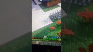 Породолжаем