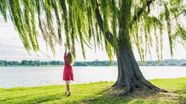 ИВА, ИВУШКА - Жанна Вишнякова Арс смотреть онлайн