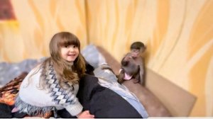 Люся ПОТЕРЯЛА Влада и зовёт его, ей ДАЖЕ НЕ НУЖНЫ КОТЯТА! Люся от горя НАЕЛАСЬ ПЕЛЬМЕНЯМИ)))