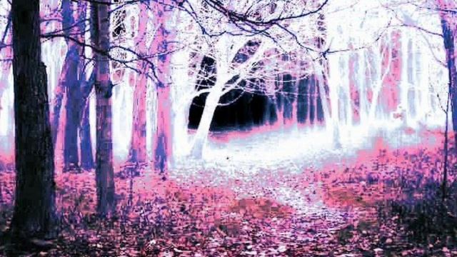 The atmosphere of darkness