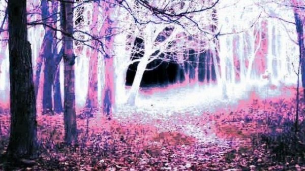 The atmosphere of darkness