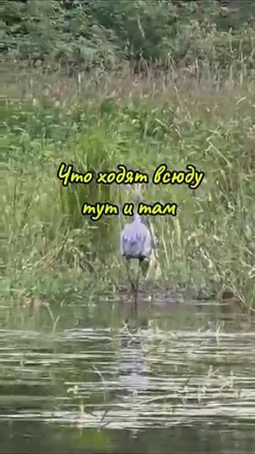 Скажи спасибо Богу перед сном #молитва #благодарность #мотивация #shorts смотреть онлайн