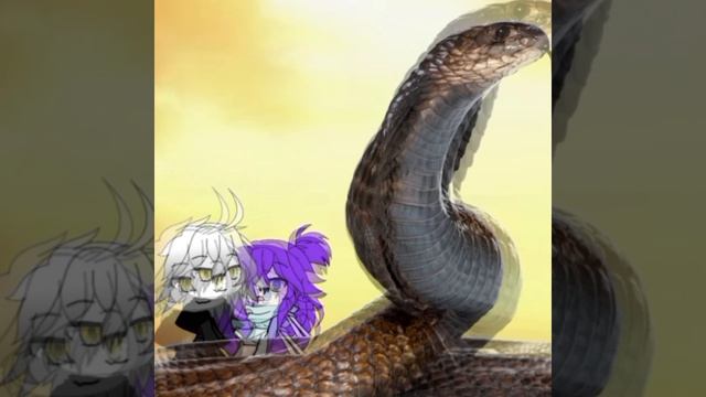 змейка🤭😋// я не боюсь змей, а вы?) смотреть онлайн