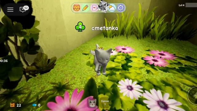 Как получить этих новых котов.