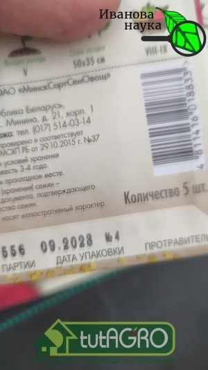 Все семена взойдут! Эта растильня для семян - просто чудо! Как сделать растильню своими руками.
