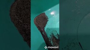 красим джинсы углем в черный цвет