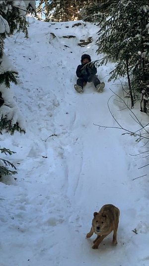 ТОЛЬКО так МОЖНО согреться В ЛЕСУ в -32