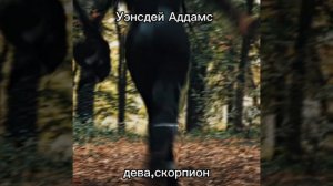 какая ты роль Дженны Ортеги по зз