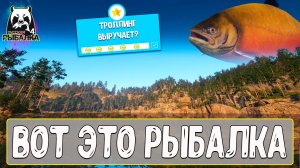 Давно у нас такой рыбалки не было #рр4