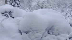 Таёжная пасека в ноябре,много снега,постановка в зимовник.