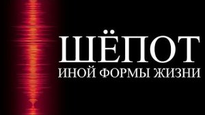 С нашей эволюцией что-то не так ｜ ALI