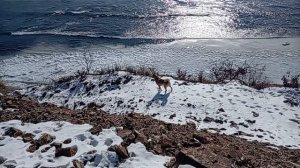 Кабы не было зимы