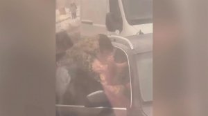 На Украине очередное ЧП, связанное с массовыми облавами военкомов.