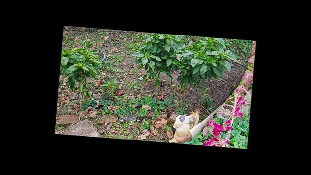 Новый проект природа 1 смотреть онлайн