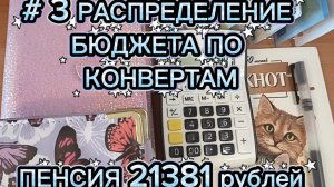 # 3 РАСПРЕДЕЛЕНИЕ БЮДЖЕТА ПО КОНВЕРТАМ  ПЕНСИЯ 21381 Р.