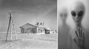 Советскую полярную станцию пришлось свернуть из за странных существ