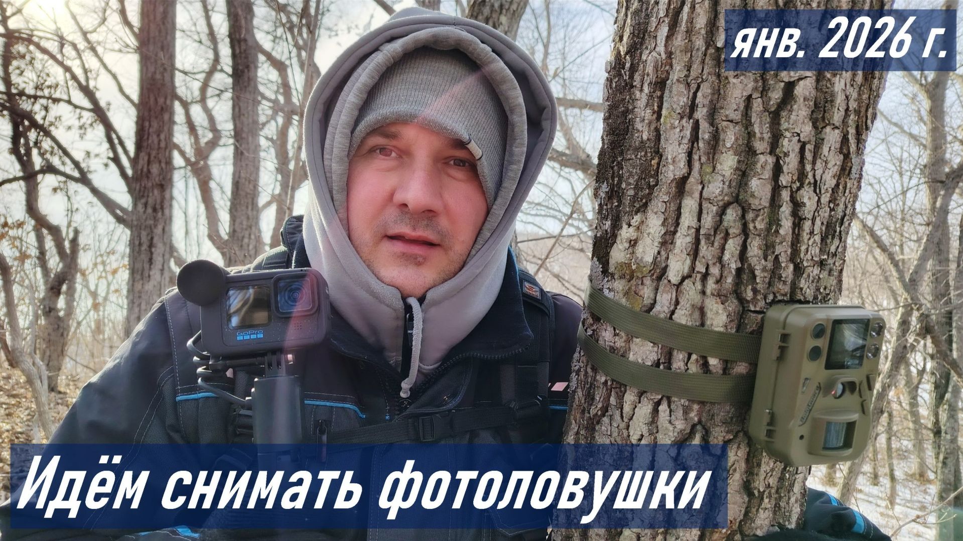 Идём в лес снимать фотоловушки, январская прогулка по лесу с тётей Мариной смотреть онлайн