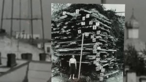 Что в 19 в.могло засыпать целые города? Тгк Парк Земля.