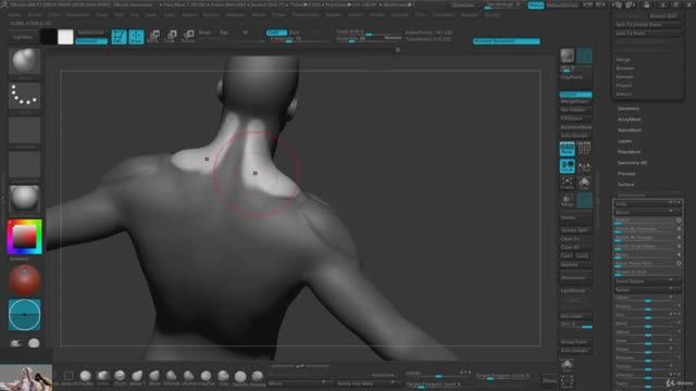 Creating the trapezius based on masks смотреть онлайн