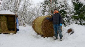 Деревенская жизнь в январское глухозимье...