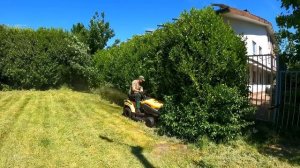 Этому ДВОРУ с высокой и густой травой НУЖНА ПОМОЩЬ