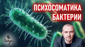 Почему мы постоянно подвергаемся атакам бактерий. Феноменальная психосоматика