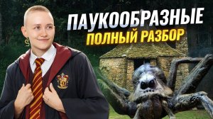 Класс Паукообразные | Полный разбор для ОГЭ по биологии | Умскул