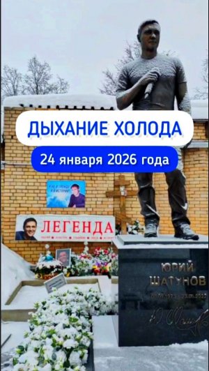 Морозное утро у могилы Юрия Шатунова #shorts #2026 #шатунов #белыерозы #ласковыймай #память