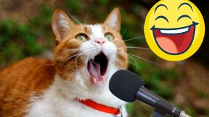 Смешные и забавные животные 😻😺 Лучшие приколы с животными 🐶