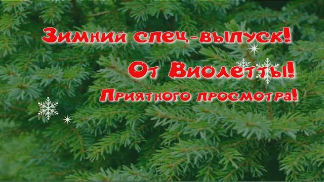 ЗИМНИЙ ВЫПУСК, ВИОЛЕТТЫ!!! (СНЯТ 5 ЯНВАРЯ 2025 Г.)