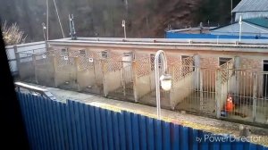 Ученик за рулём поезда.