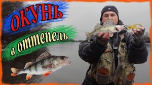 Окунь в оттепель. Зимний спиннинг на Москва реке