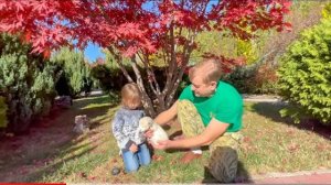 Ангелина ЗАСТЕСНЯЛАСЬ и не смогла погладить маленького БЕЛОГО ЛЬВЁНКА)