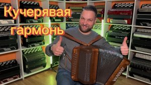 Кучерявая гармонь