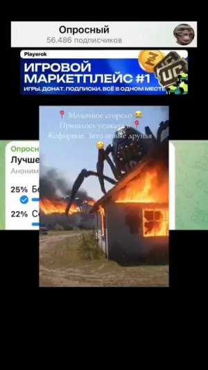 #Лучшее #место #для #отдыха?