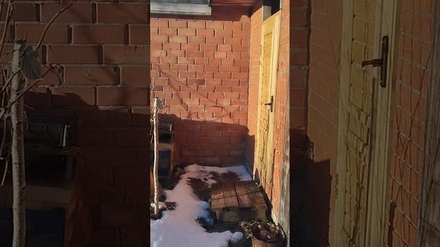 Дача на продажу смотреть онлайн