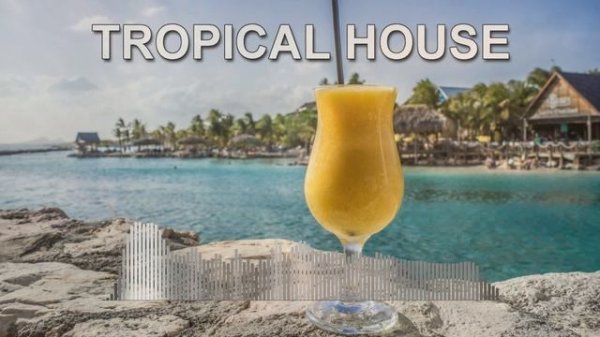 Tropical House (Dance Mix)