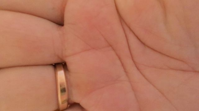 ЛПП 2016 смотреть онлайн