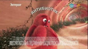 Рекламный блок и спонсор показа (Карусель (г. Омск), 24.01.2026)