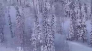 ГК "Каменный Мыс" Сургут Трассы