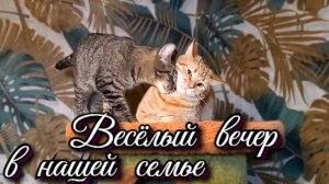 Весëлый вечер в нашей семье.