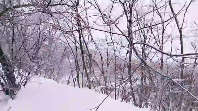 ОБЛЕДЕНЕНИЕ 24.01.2026 смотреть онлайн